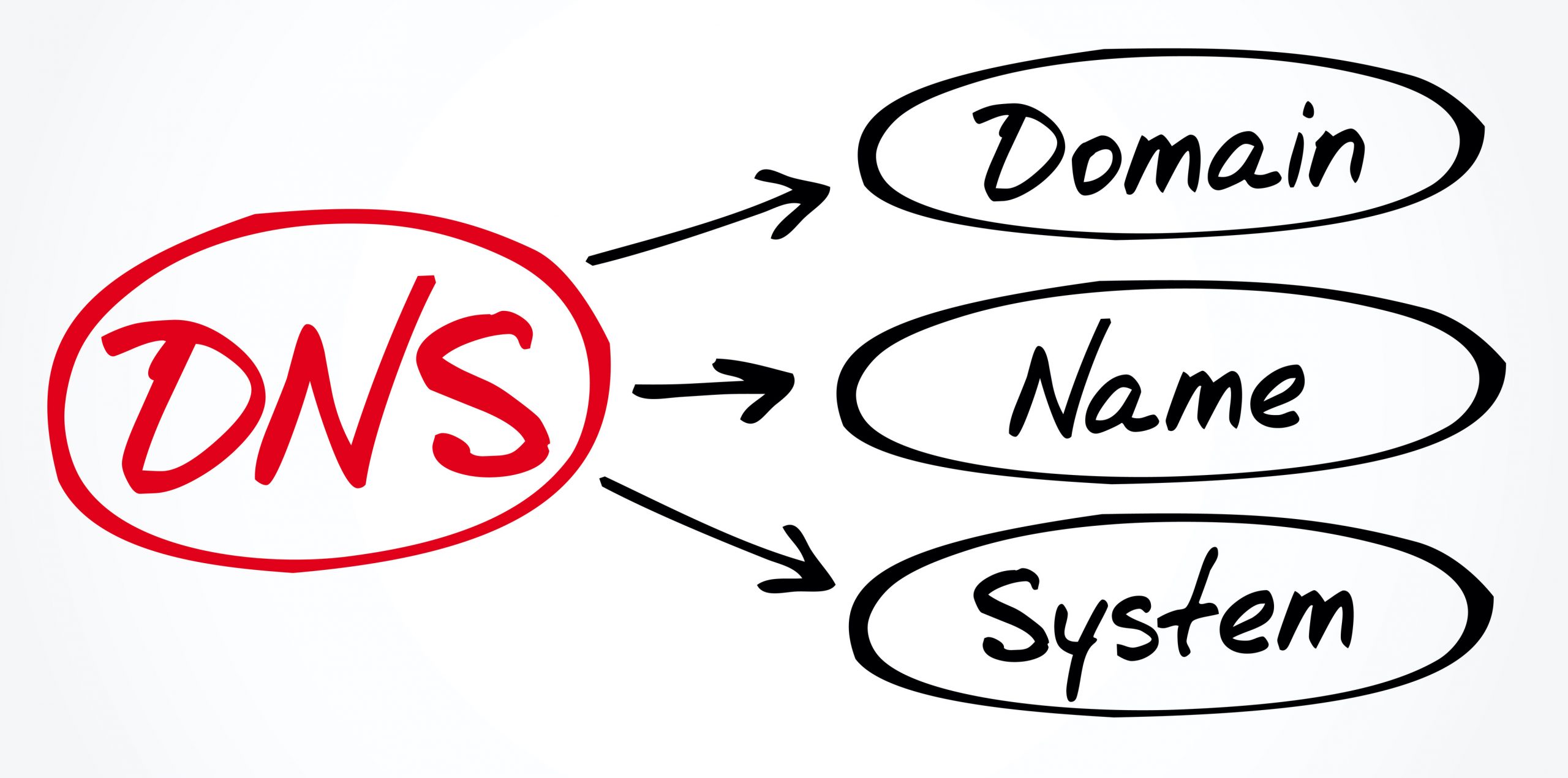 Domain company. Частный DNS.